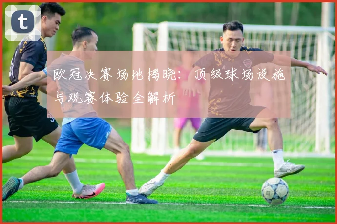 欧冠决赛场地揭晓：顶级球场设施与观赛体验全解析